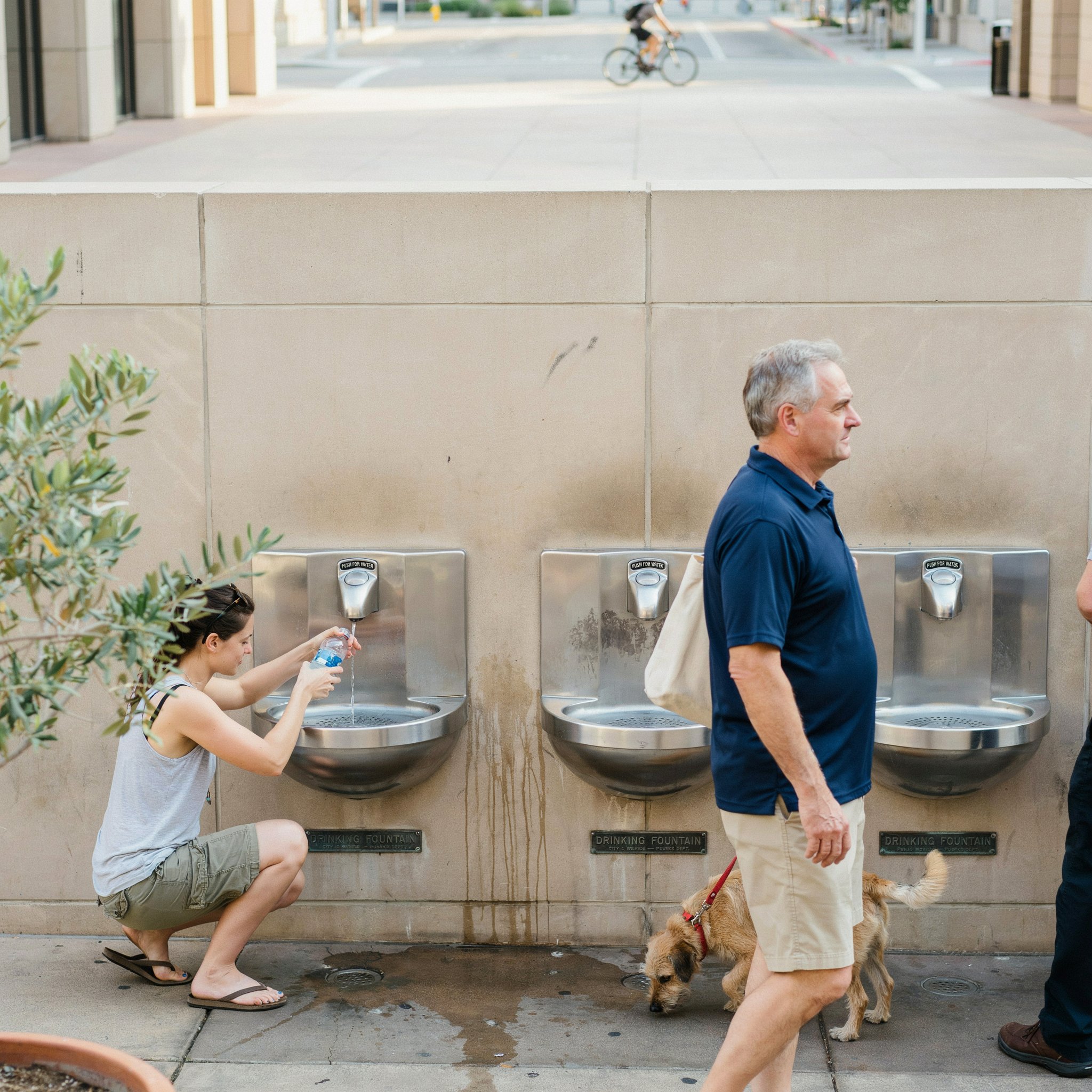 Drinking Fountains